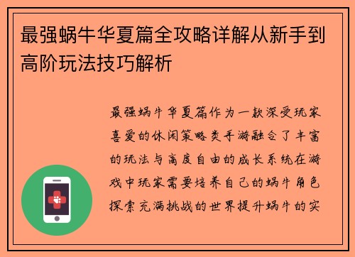 最强蜗牛华夏篇全攻略详解从新手到高阶玩法技巧解析